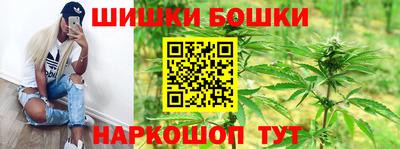 трава Партизанск