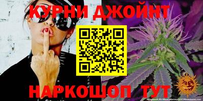 стаф Пенза