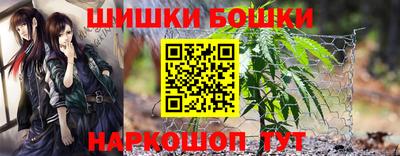 трава Партизанск