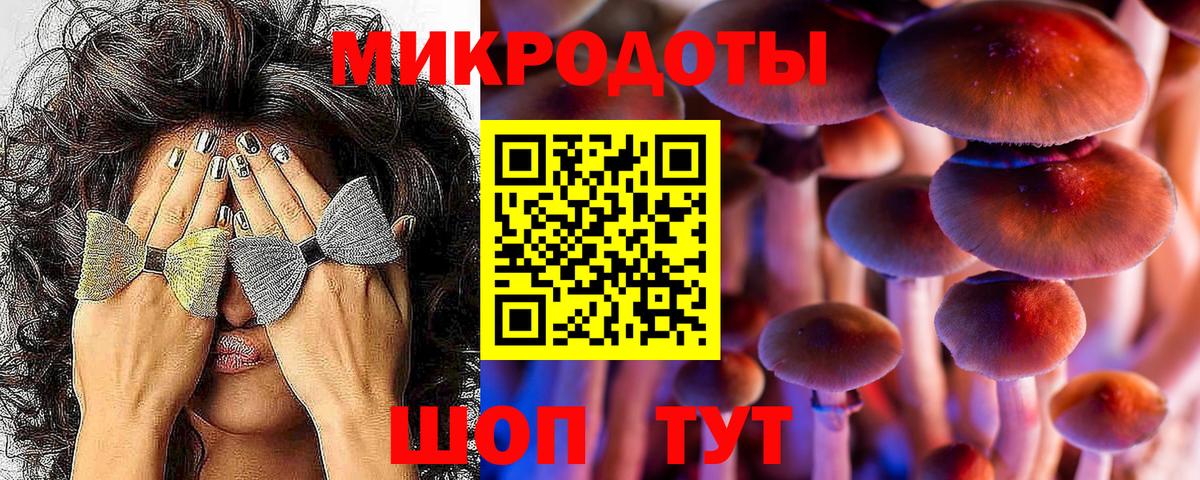 Псилоцибиновые грибы Cubensis Обь